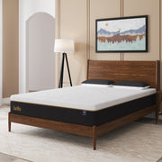 Duchess Mattress Queen Double King Single Bed Mattresses Memory Foam No Spring
