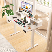 Advwin Electric Standing Desk with Monitor Stand
