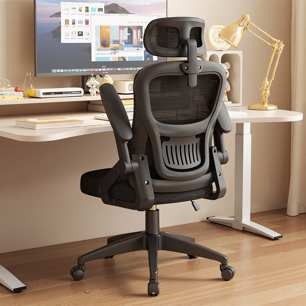 Eeeza Adjustable Ergonomic Office Chair