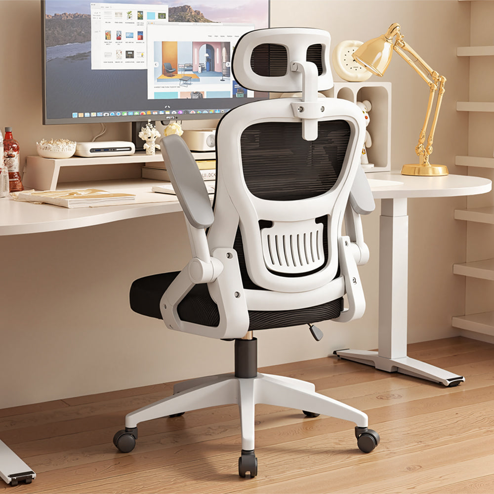 Eeeza Adjustable Ergonomic Office Chair