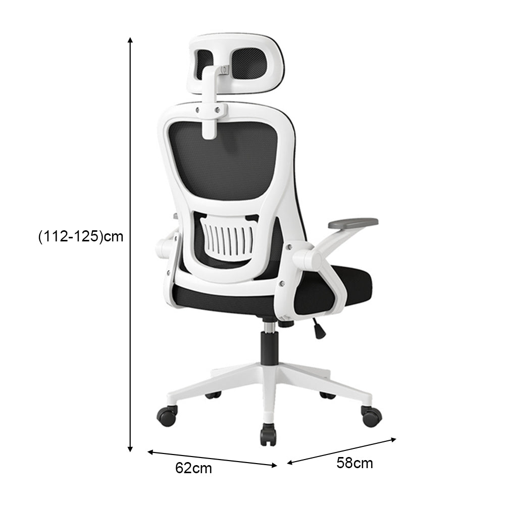 Eeeza Adjustable Ergonomic Office Chair