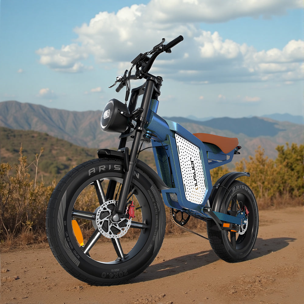 JANSNO High-Carbon Steel Electric Bicycle With 750W Brushless DC Motor