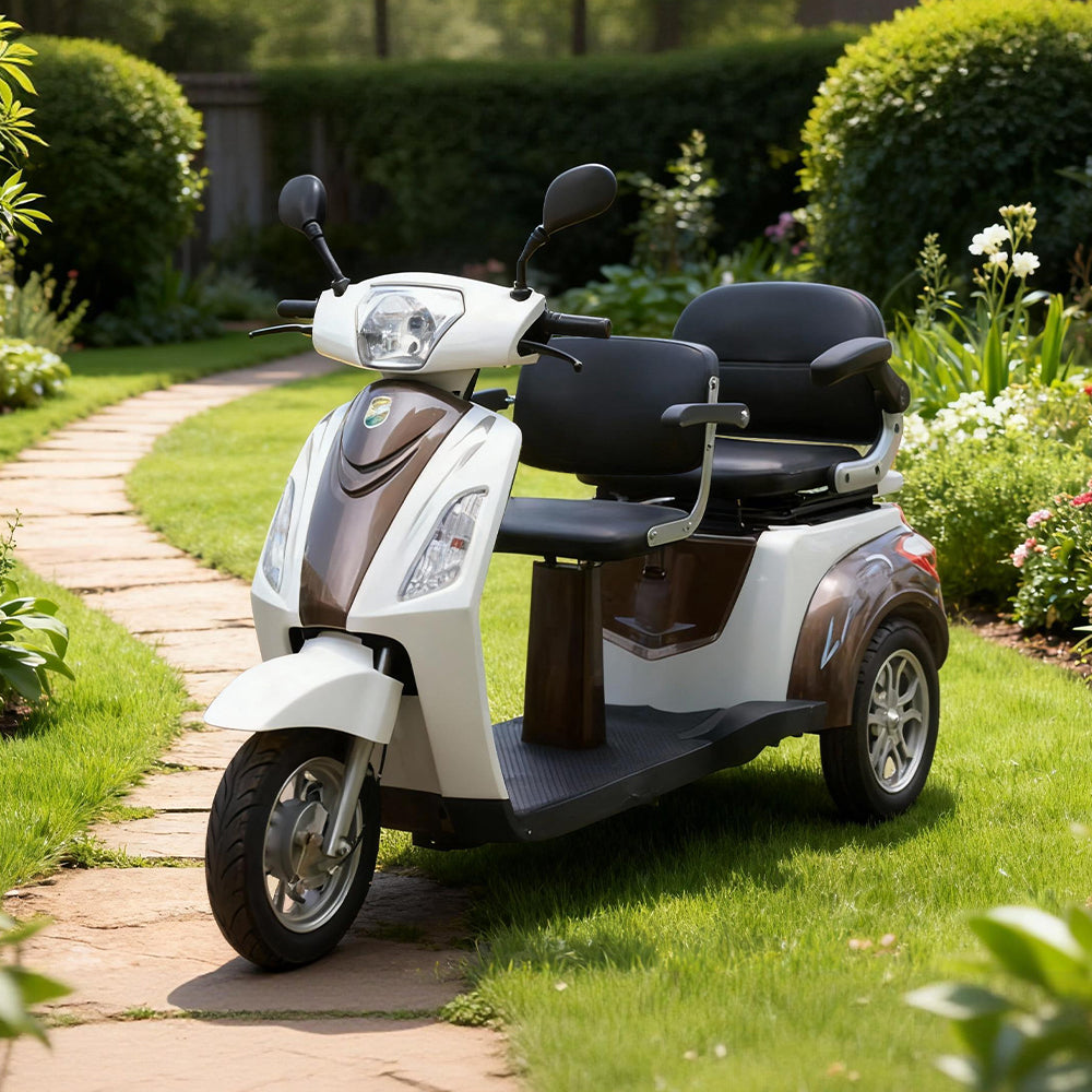 Eeeza 500W 60V 20Ah Electric Tricycle