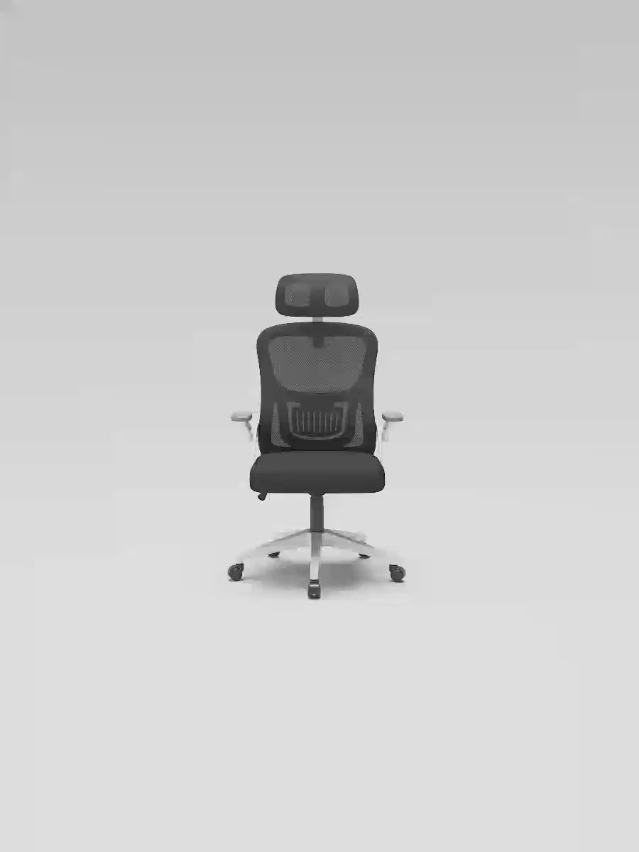 Load video: Eeeza Adjustable Ergonomic Office Chair