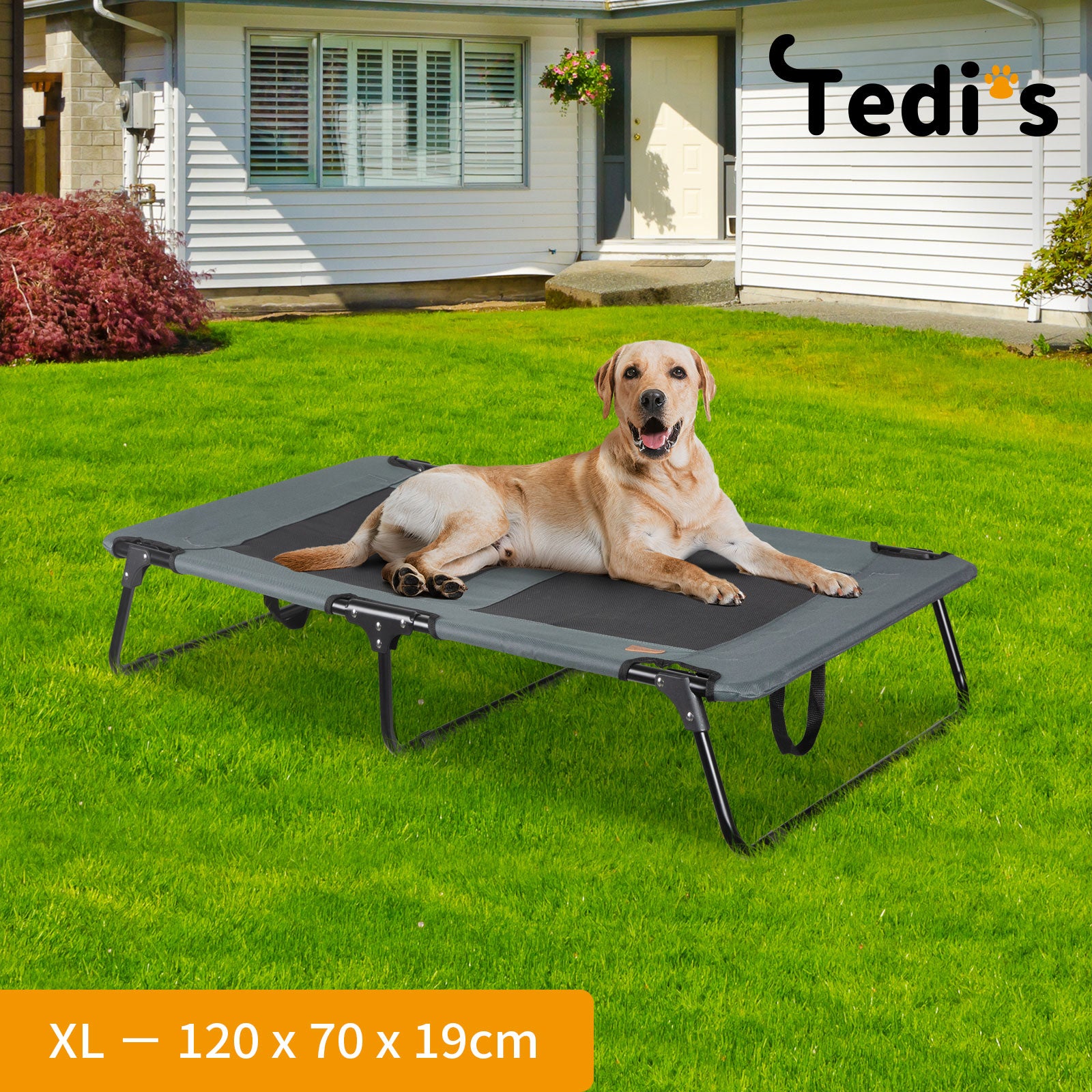 Tedi's Elevated Dog Bed Raised Pet Trampoline Hammock Mesh-Folding No Assembly Need,Indoor & Outdoor