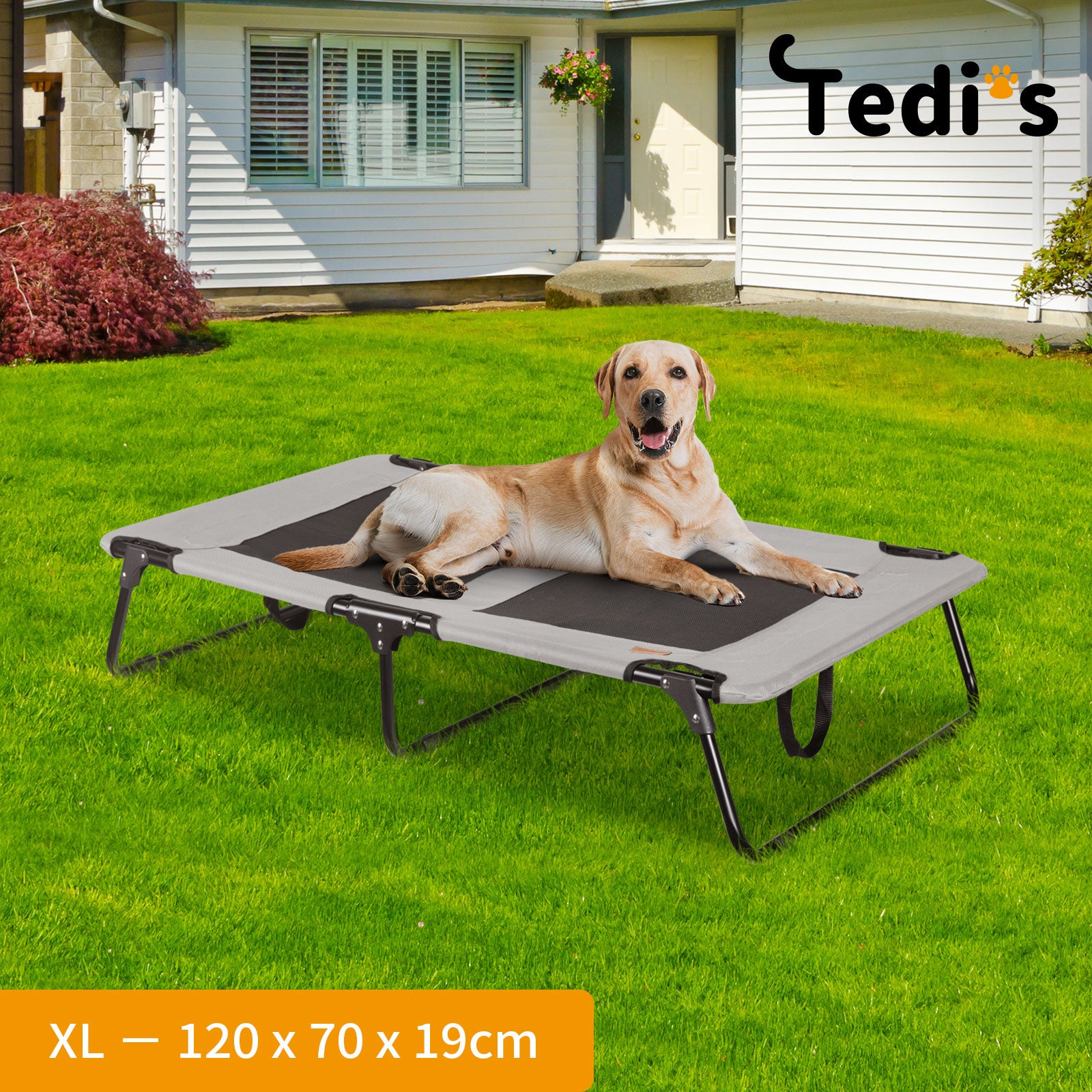 Tedi's Elevated Dog Bed Raised Pet Trampoline Hammock Mesh-Folding No Assembly Need,Indoor & Outdoor