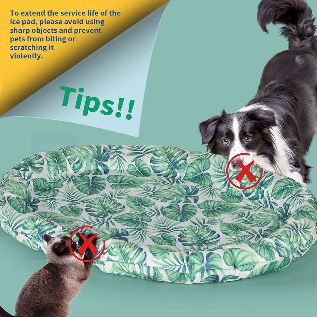 Tedi's Dog Cooling Mat for Dogs,Outdoor Cooling Dog Bed Waterproof with Pillow,Non-toxic Gel