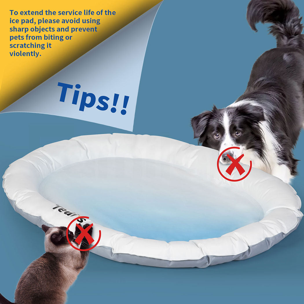 Tedi's Dog Cooling Mat for Dogs,Outdoor Cooling Dog Bed Waterproof with Pillow,Non-toxic Gel