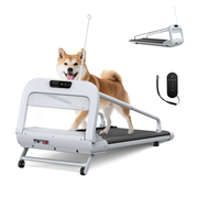 Smart Dog Treadmill for Small & Medium Dogs, Pet Treadmill for Dogs up to 110kg, Indoor Running Mac