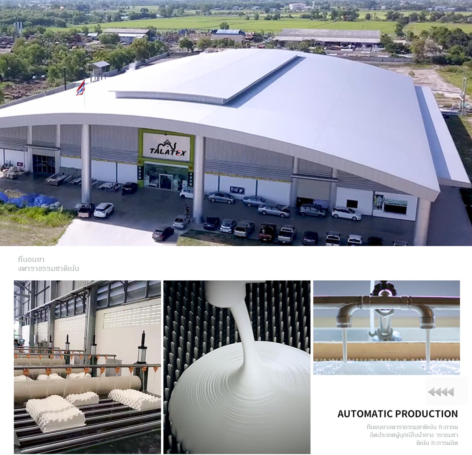 100% Natural Premium Talalay Latex Pillow –Helps Relieve Pressure