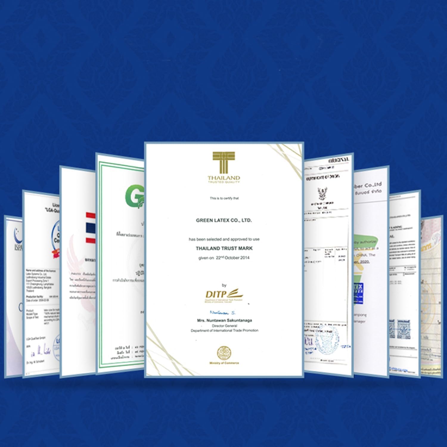 100% Natural Premium Talalay Latex Pillow –Helps Relieve Pressure