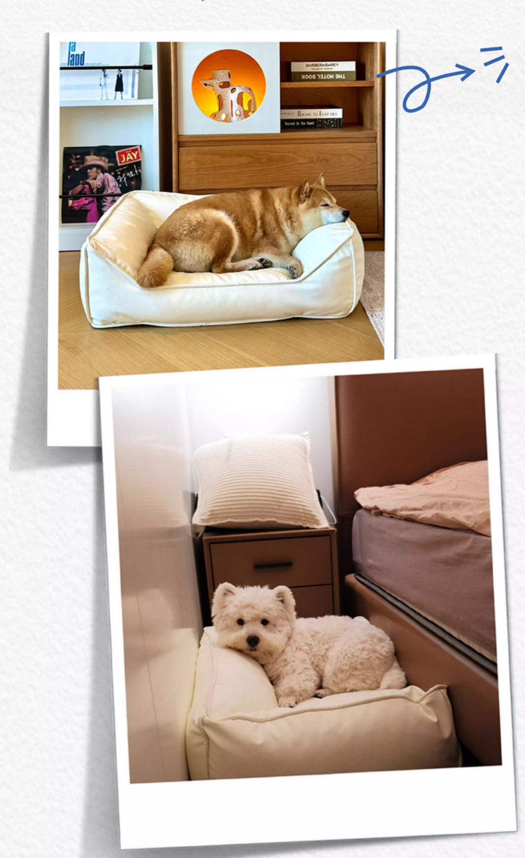 CasaDosa Pet sofa Dog Bed Cat Couch Portable Comfortable Scratches Leather Four Seasons Use