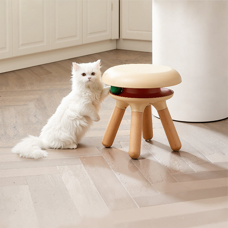 CasaDosa AsteroidOrbit Designed Macarons Fun Cat Stool Pet-Friendly Furniture Human-Pet Interactive Furniture Pet Toys