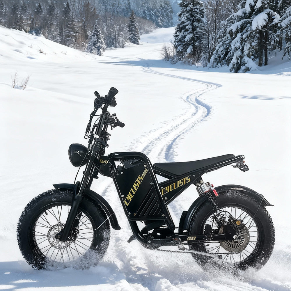 Game-Changing Off Road EBike with Unbeatable Mileage, 7-speed Flywheel