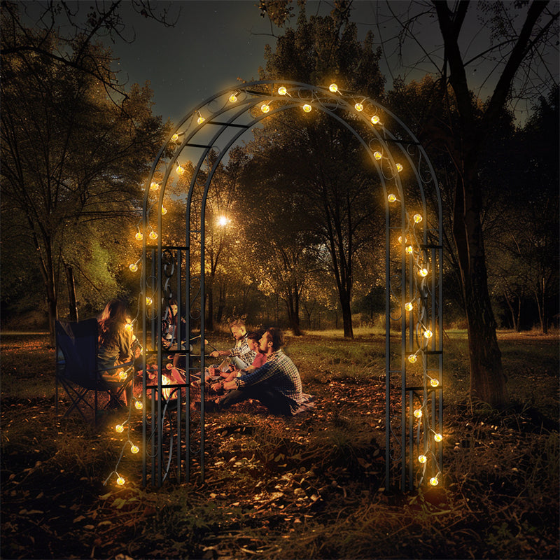 Rust-proof Double-Column Thicken Iron Garden Arch Trellis Vine Flowers Frame Stand w/ 8 Prong
