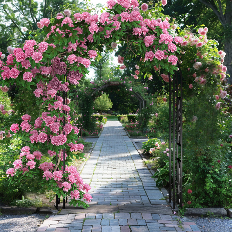 Rust-proof Double-Column Thicken Iron Garden Arch Trellis Vine Flowers Frame Stand w/ 8 Prong