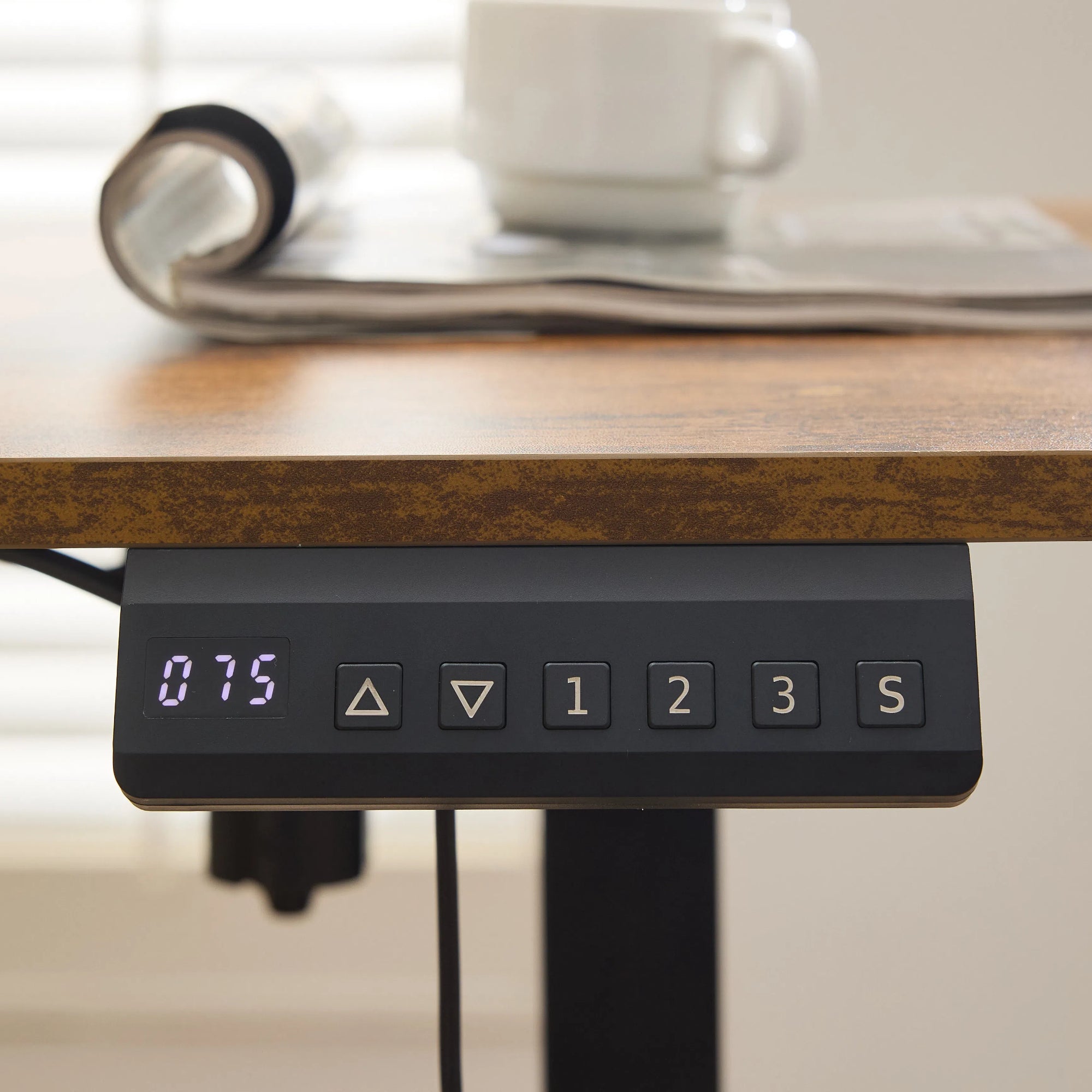 Electric Standing Desk 100x60cm Height Adjustable,  Sit & Stand Desk with Memory Controller