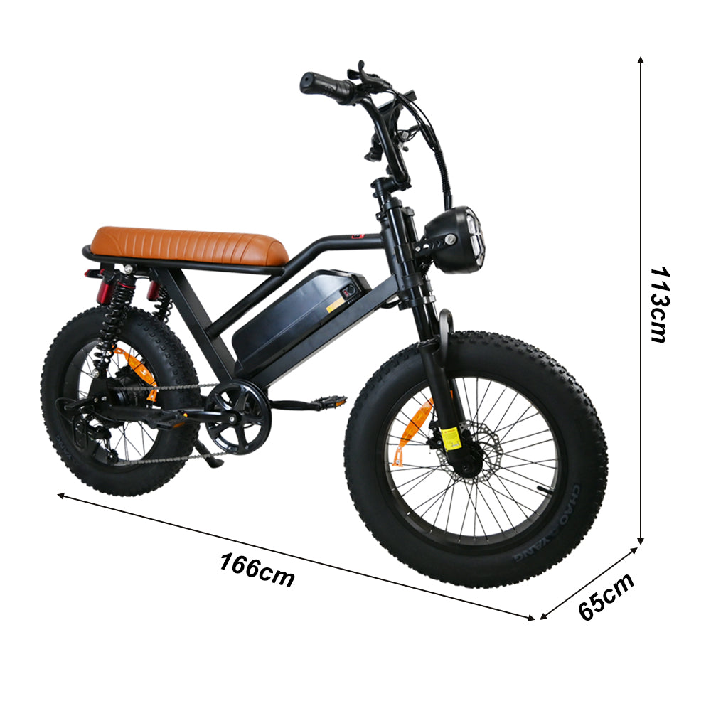 M3 electric bicycle   with 750W Motor65km/h. 70 km Range, 120 kg Load