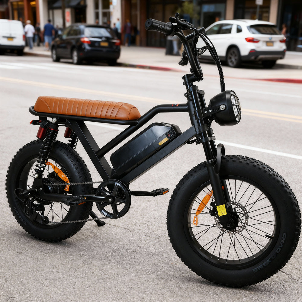 M3 electric bicycle   with 750W Motor65km/h. 70 km Range, 120 kg Load