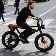 M3 electric bicycle   with 750W Motor65km/h. 70 km Range, 120 kg Load