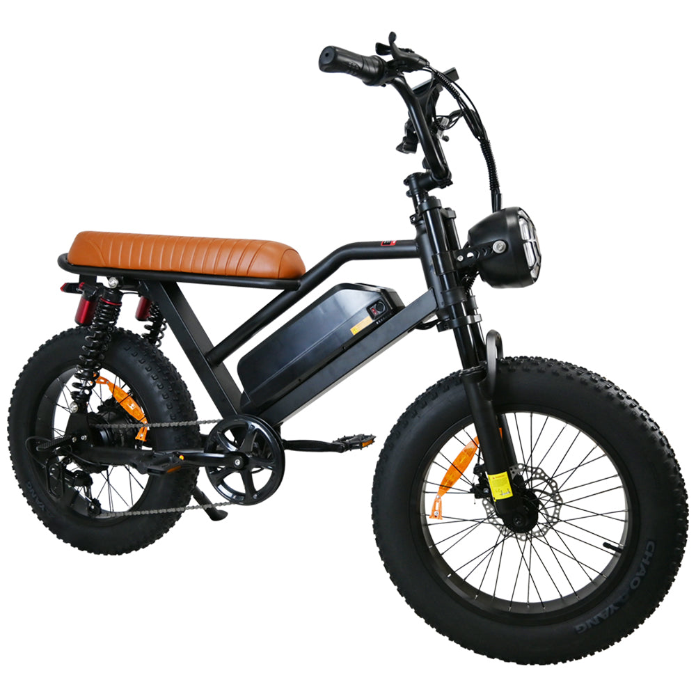 M3 electric bicycle   with 750W Motor65km/h. 70 km Range, 120 kg Load