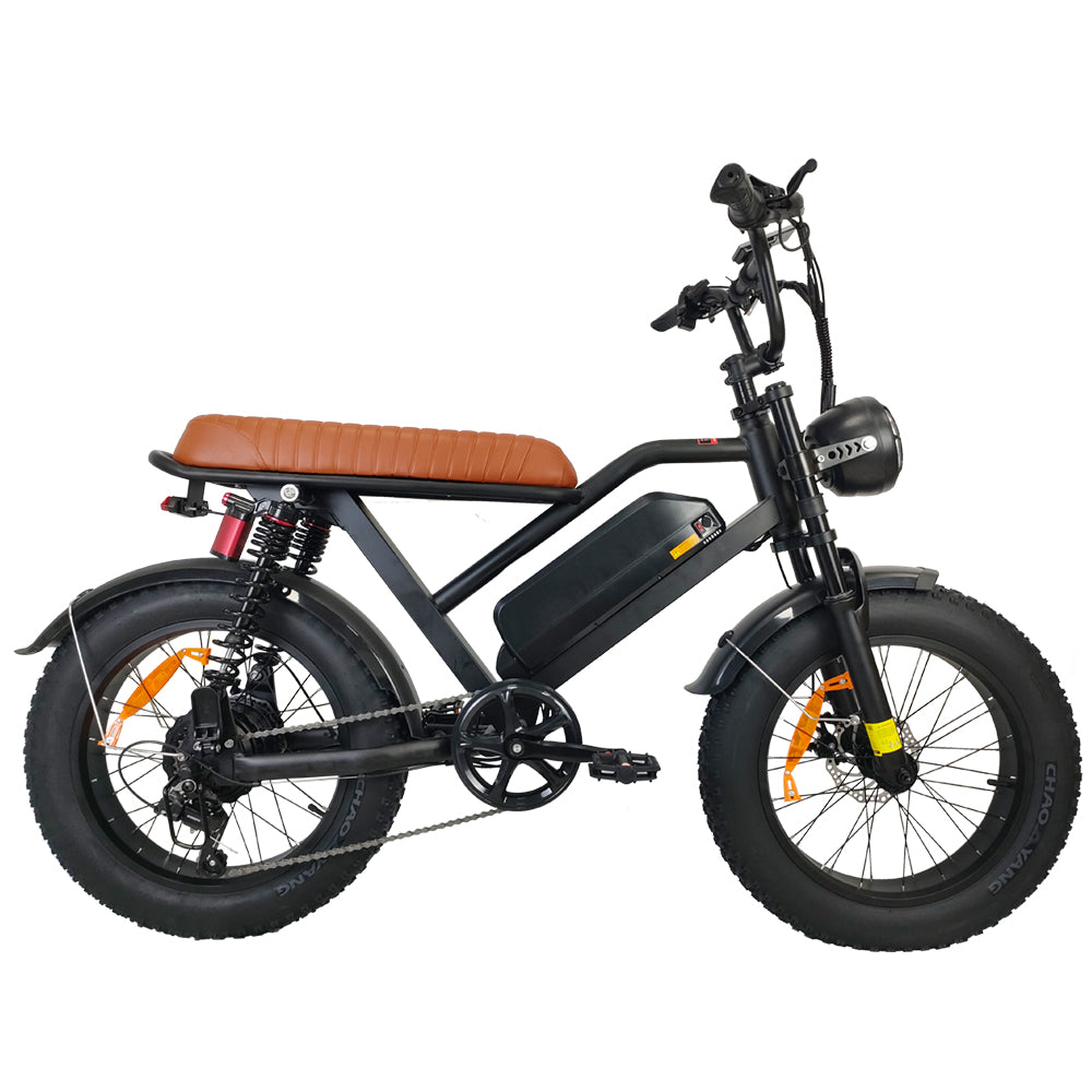 M3 electric bicycle   with 750W Motor65km/h. 70 km Range, 120 kg Load