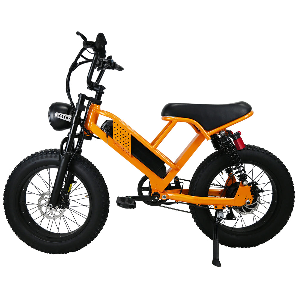 M7  Effortless Commuting  ightweight E-Bike with 750W Motor 50 km/h. 70 km Range, 150 kg Load