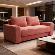 Multi-functional sofa bed variant sofa