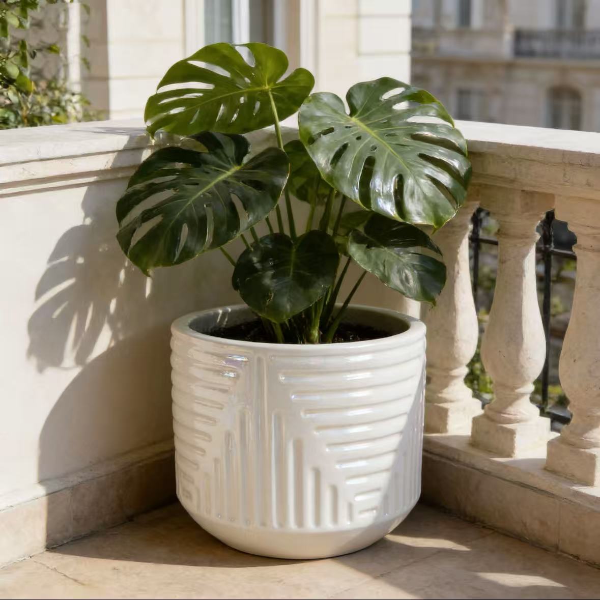 Ceramic Flowerpot, Modern Planter for Patio, Garden, Windowsill