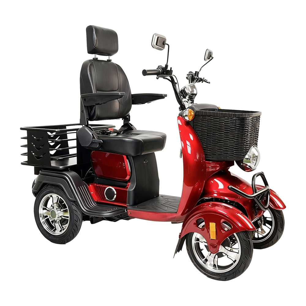 Eeeza Convenient Senior Scooter with 600W 48V 20Ah High-Power Motor