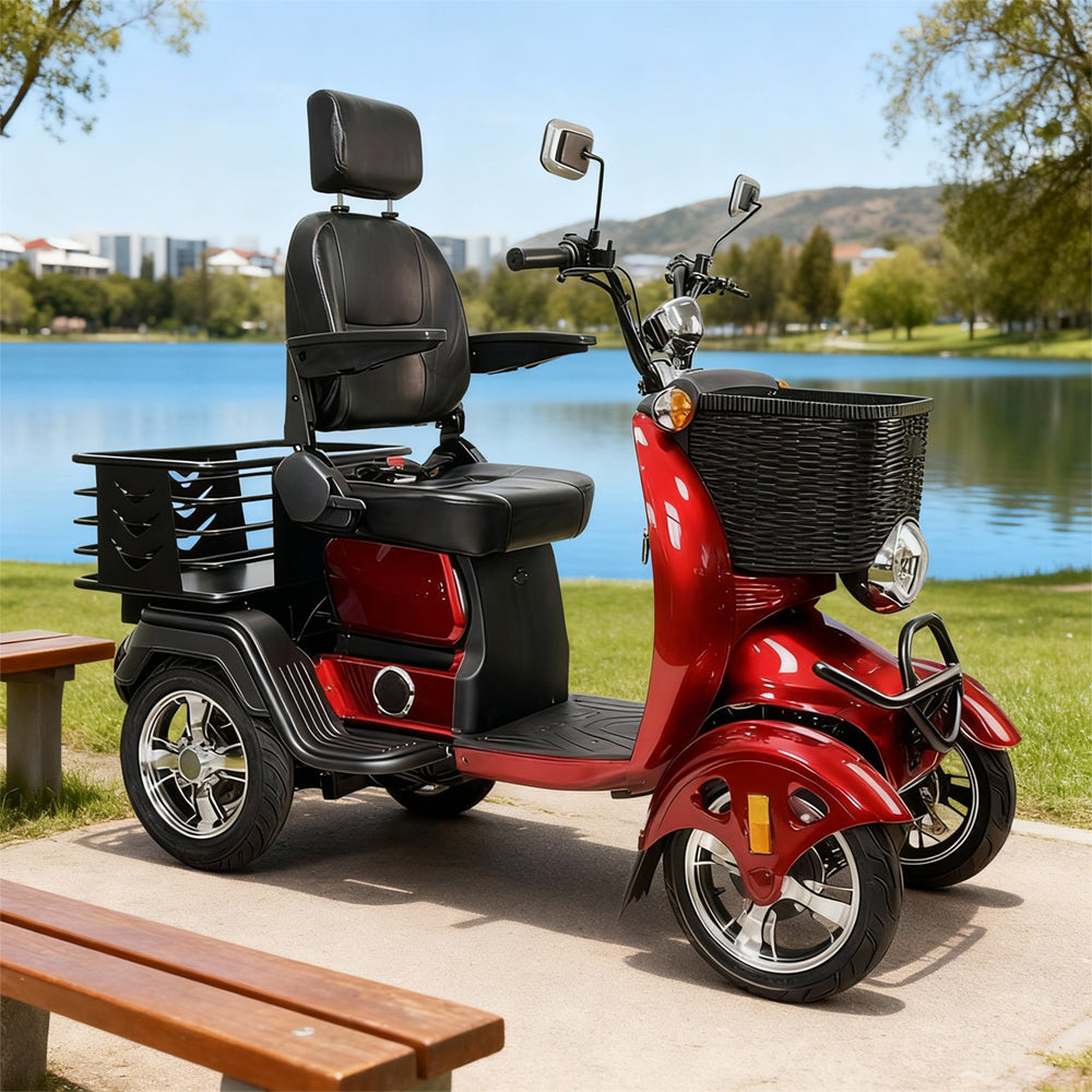 Eeeza Convenient Senior Scooter with 600W 48V 20Ah High-Power Motor