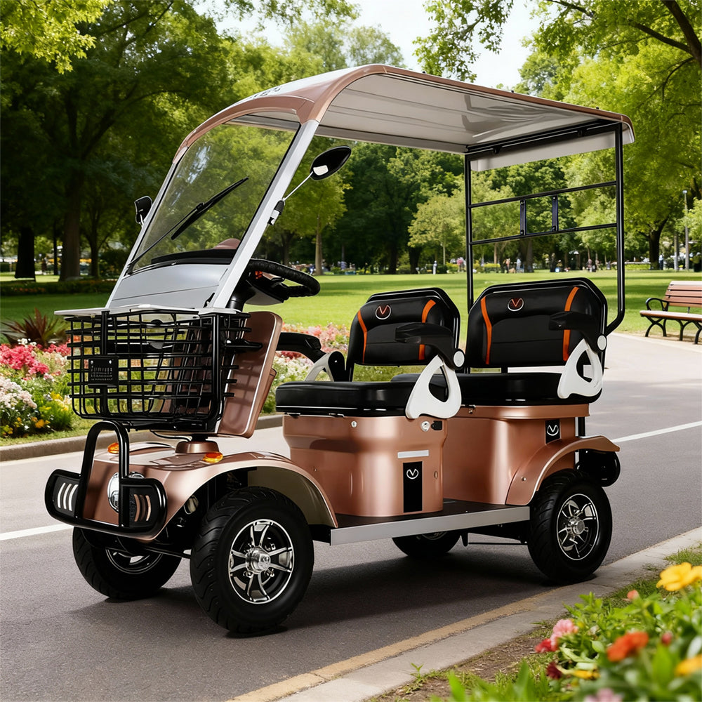 Eeeza 650W 60V 20Ah Electric Mobility Scooter with Long-Range