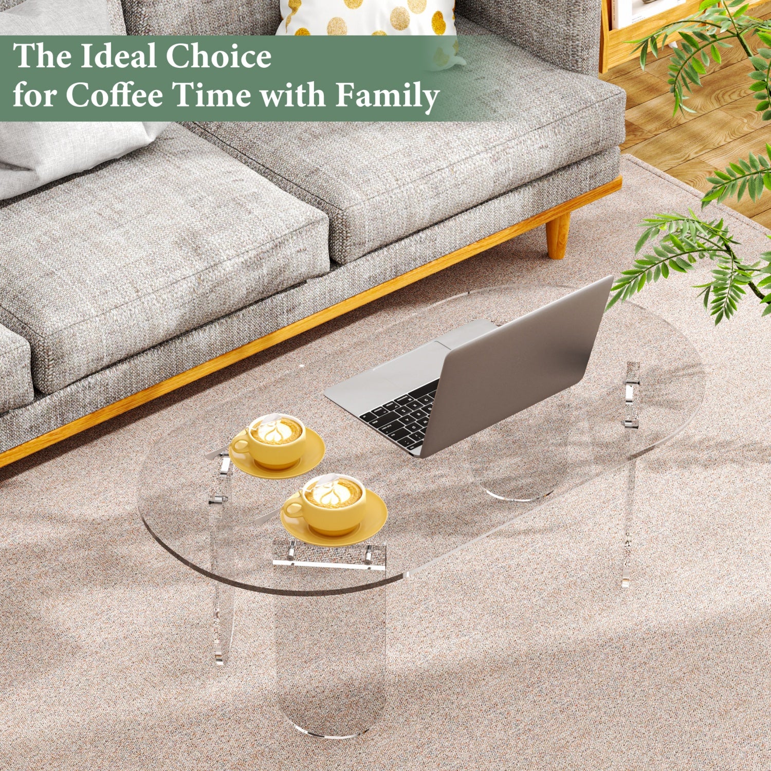 Acrylic Coffee Table for Living Room, Oval