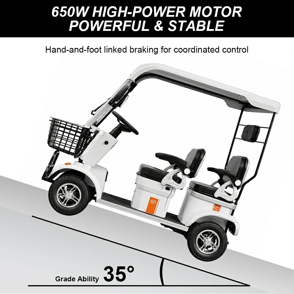 Eeeza E60 Electric Mobility Scooter with Long-Range, 650W 60V 20Ah