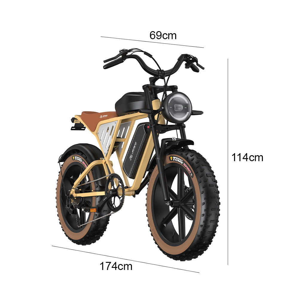 JANSNO High-Carbon Steel Electric Bicycle With 750W Brushless DC Motor