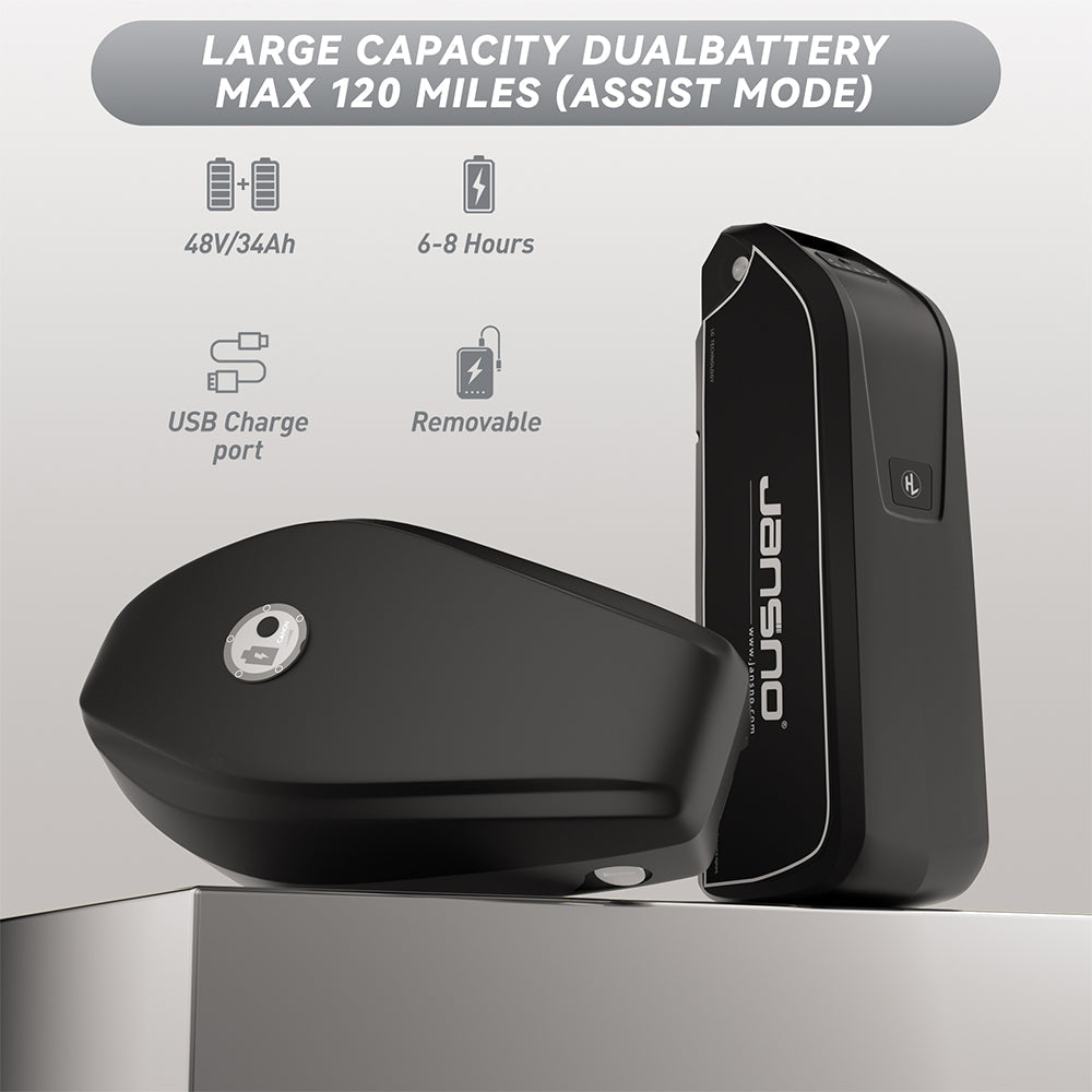 JANSNO High-Carbon Steel Electric Bicycle With 750W Brushless DC Motor