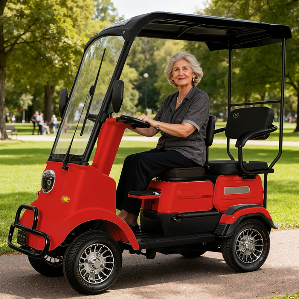 Eeeza M3 Electric Mobility Scooter,  650W 60V 20Ah