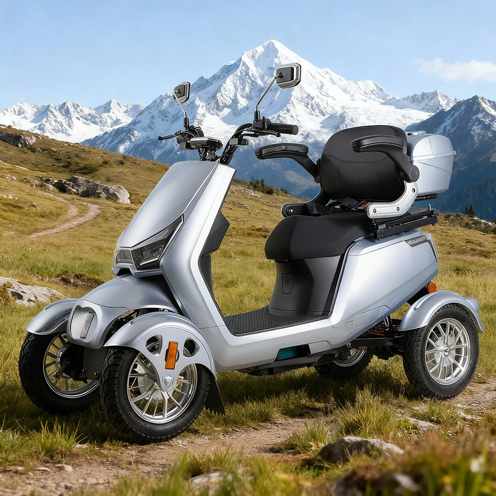 Eeeza Adjustable 800W 60V 20Ah Electric Mobility Scooter