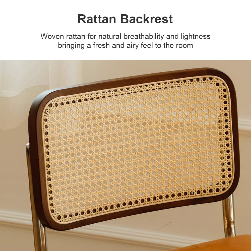 Eeeza Modern Essence Series Rattan Cantilever Chair