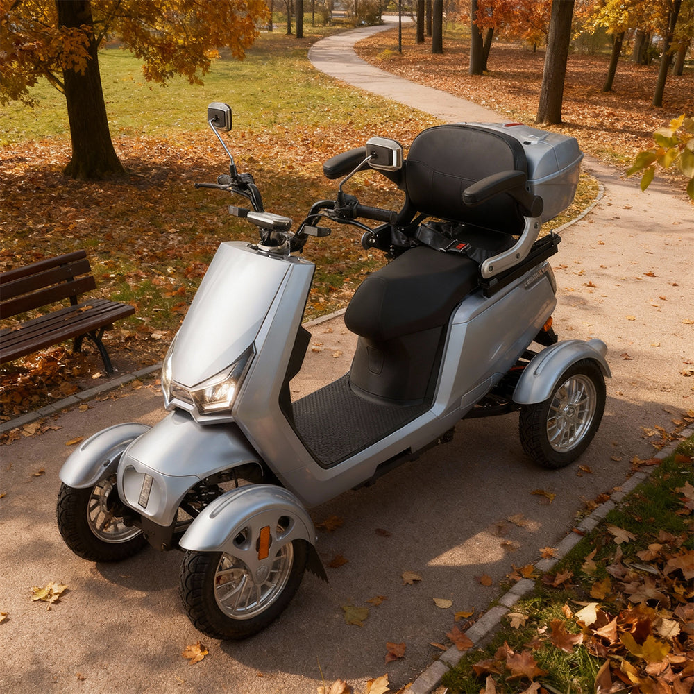 Eeeza SN4L Adjustable Electric Mobility Scooter, 800W 60V 20Ah