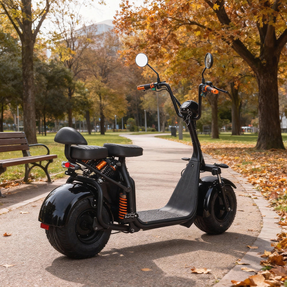 Eeeza 3000W 60V 12Ah Electric Scooter Off Road With Brushless Motor – Retro Style, Dual Seat, Hydraulic Disc Brakes