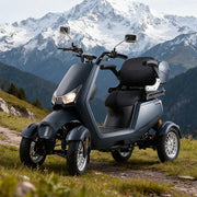 Eeeza Adjustable 800W 60V 20Ah Electric Mobility Scooter