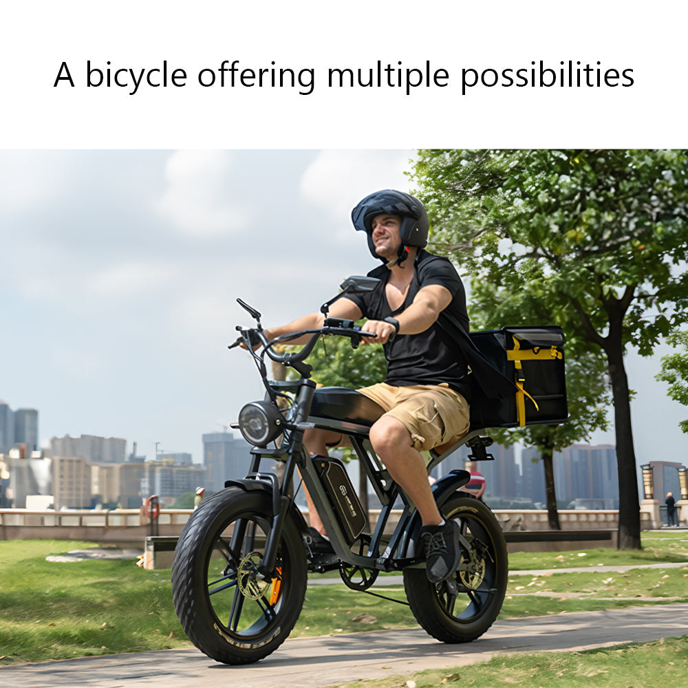 JANSNO High-Carbon Steel Electric Bicycle With 750W Brushless DC Motor
