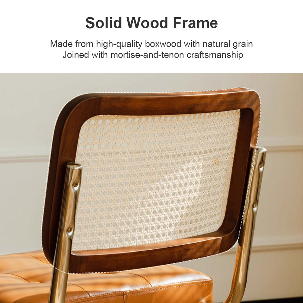 Eeeza Modern Essence Series Rattan Cantilever Chair