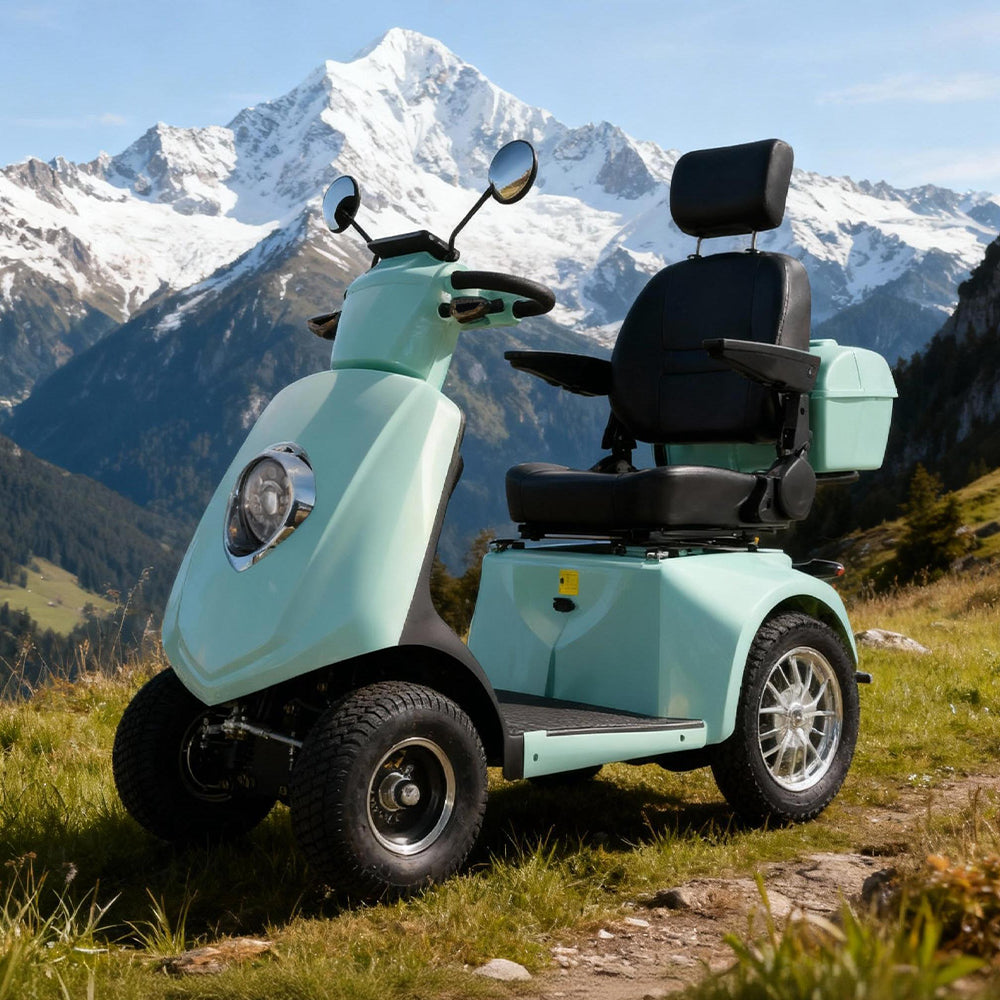 Eeeza Adjustable 500W 48V 20Ah Electric Mobility Scooter