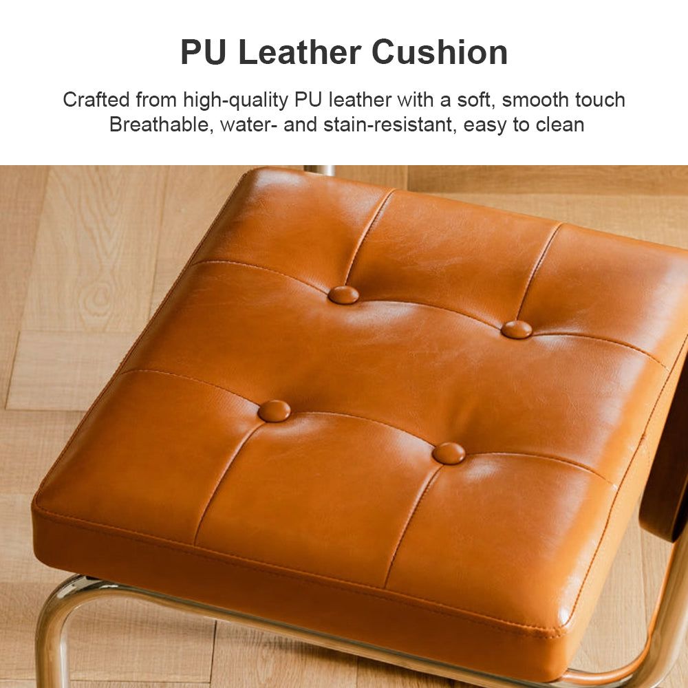 Eeeza Modern Essence Series Rattan Cantilever Chair