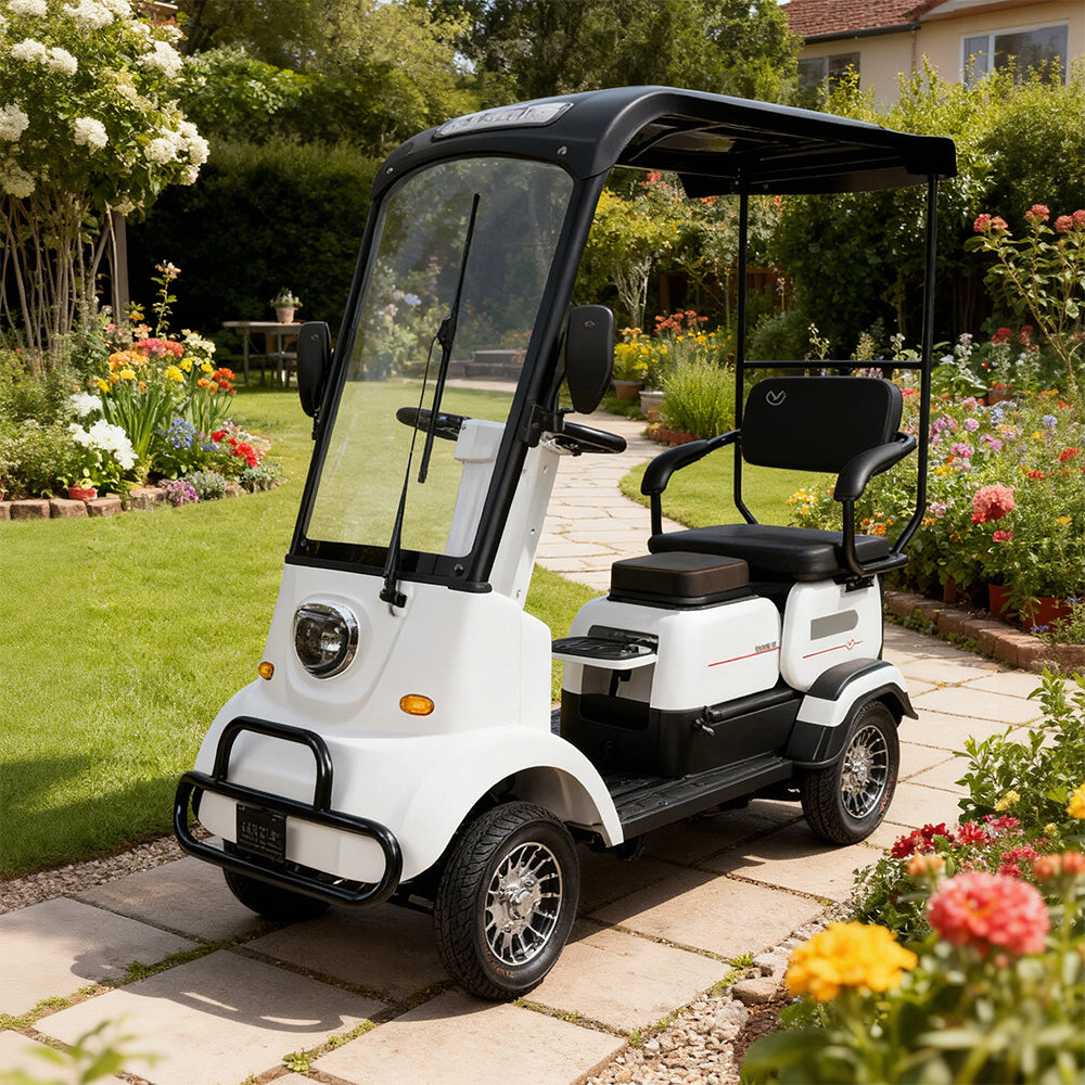 Eeeza M3 Electric Mobility Scooter,  650W 60V 20Ah