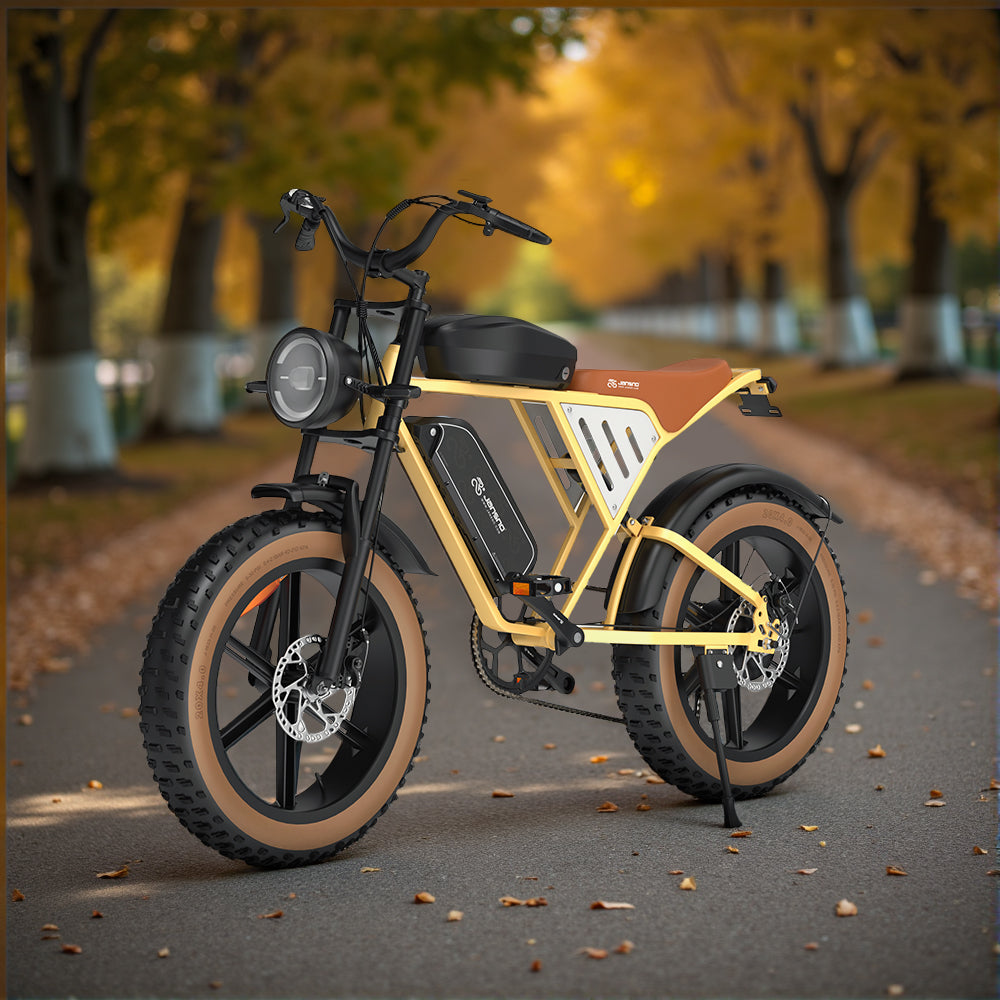 JANSNO High-Carbon Steel Electric Bicycle With 750W Brushless DC Motor