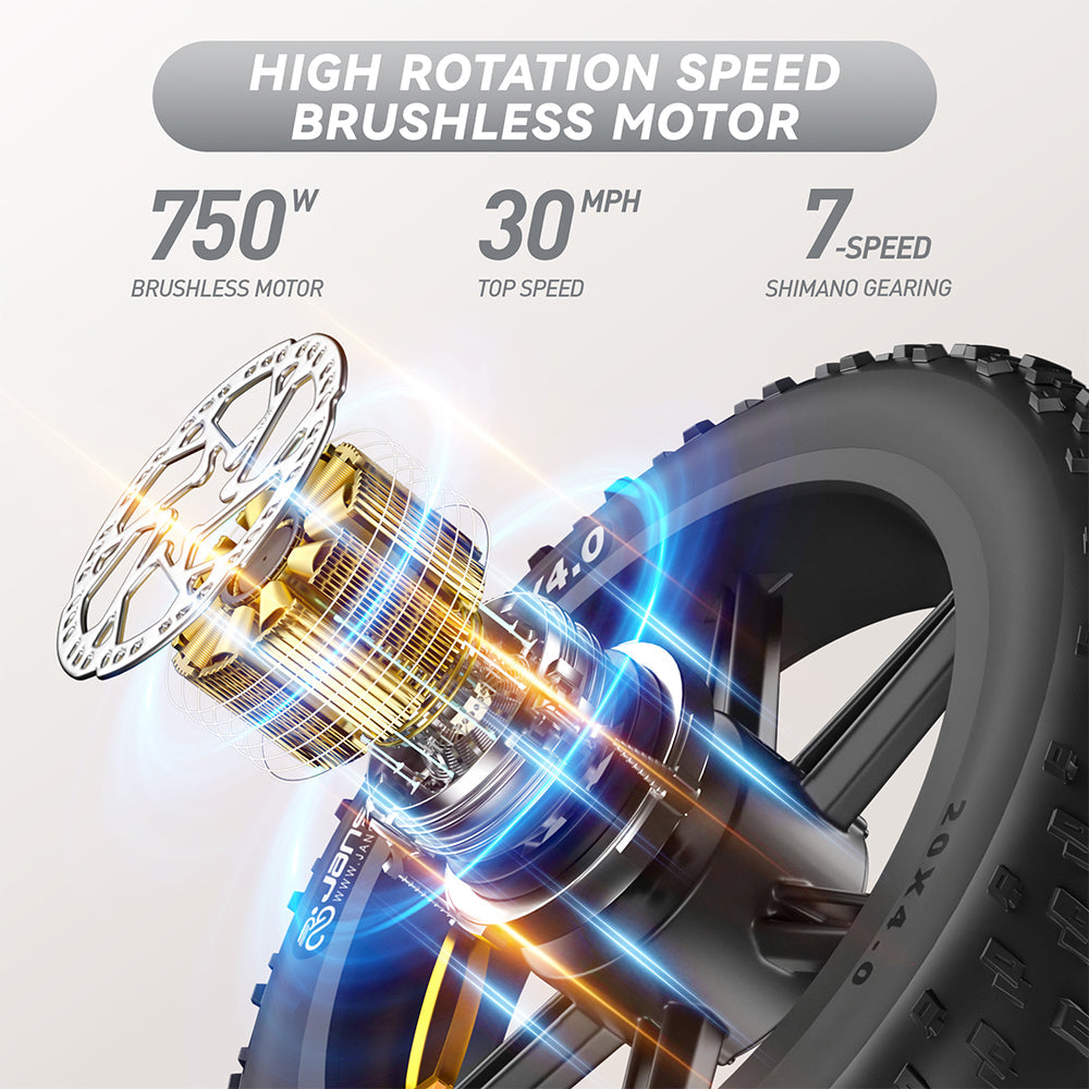 JANSNO High-Carbon Steel Electric Bicycle With 750W Brushless DC Motor