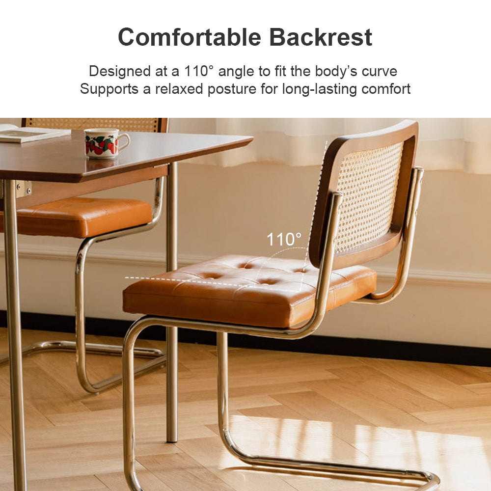 Eeeza Modern Essence Series Rattan Cantilever Chair